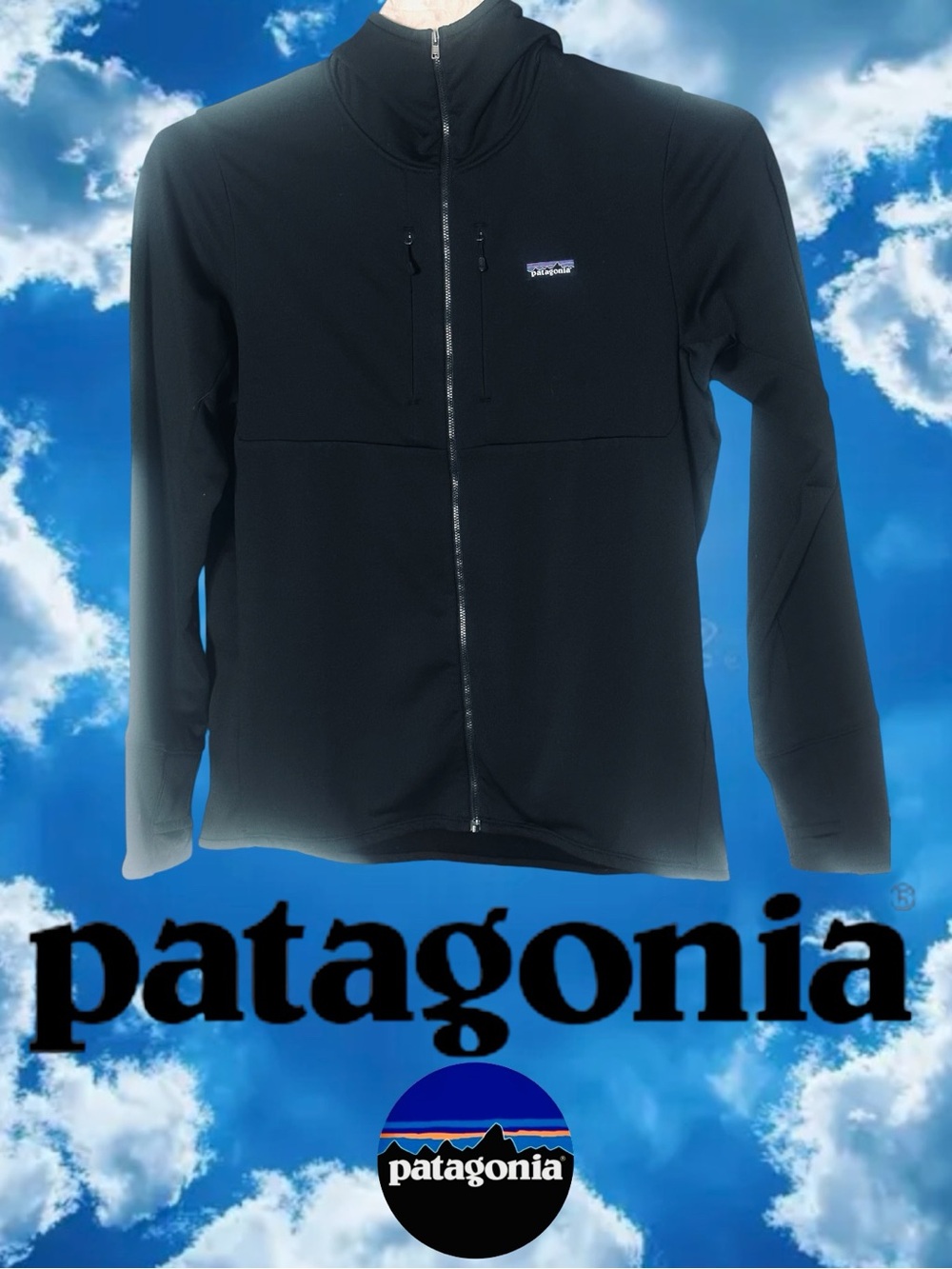 Patagonia Men's R1 Thermal Fleece Full-Zip Hoody Hooded Jacket Black XL
EUC - Picture 9 of 16